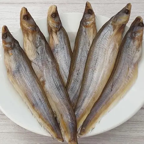 Cá Kết Và Cá Trèn: Phân Biệt Và Đặc Điểm Nhận Dạng