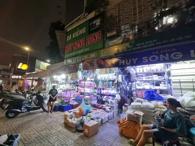 Chợ Cá Cảnh Nguyễn Thông: Kinh Nghiệm Mua Sắm, Các Loài Cá Phổ Biến Và Địa Chỉ Uy Tín