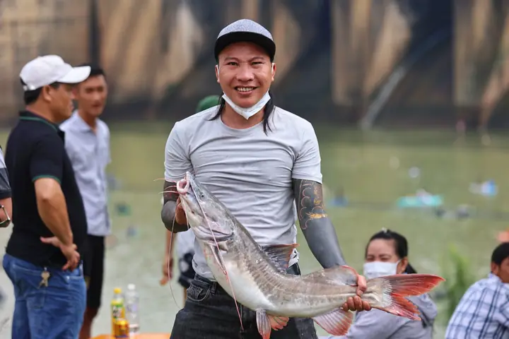 Cá Lăng Hồ Trị An: Đặc Sản Ngon & Tiềm Năng Phát Triển Kinh Tế