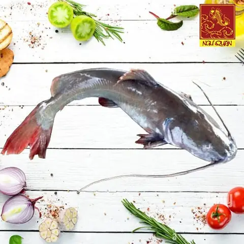 Cá Lăng Nha Đuôi Đỏ: Đặc Điểm, Giá Trị Kinh Tế Và Cách Nuôi Trồng Phổ Biến