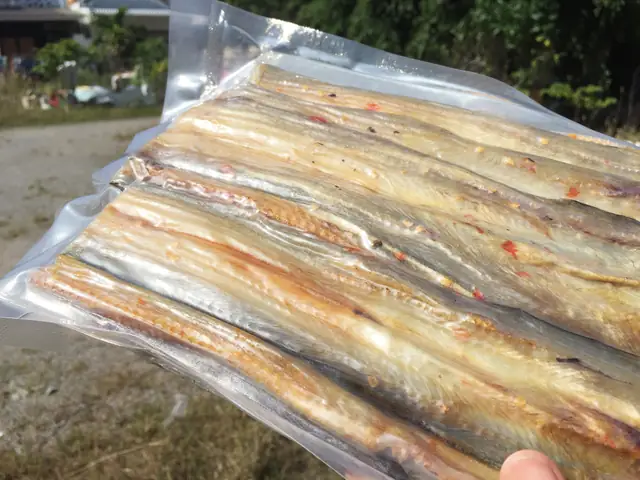 Cá Lạt Bao Nhiêu Tiền 1 Kg? Giá Cá Lạt Tươi & Khô Mới Nhất 2024