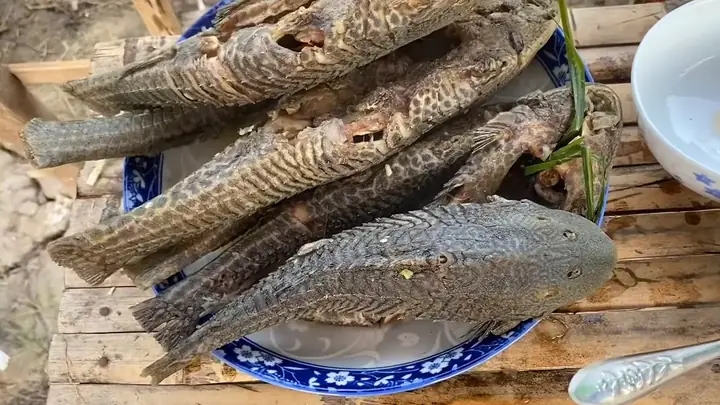 Cá Lau Kiếng Ăn Gì? Khám Phá Chế Độ Dinh Dưỡng Và Các Món Ngon