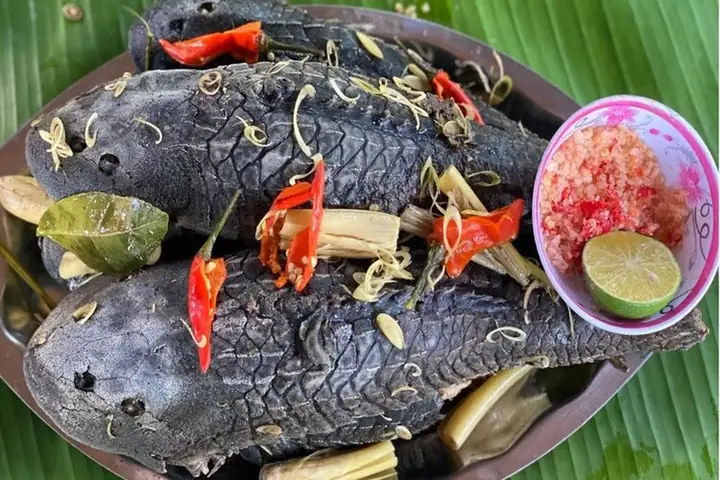 Cá Lau Kiếng Ăn Gì? Khám Phá Chế Độ Dinh Dưỡng Và Các Món Ngon