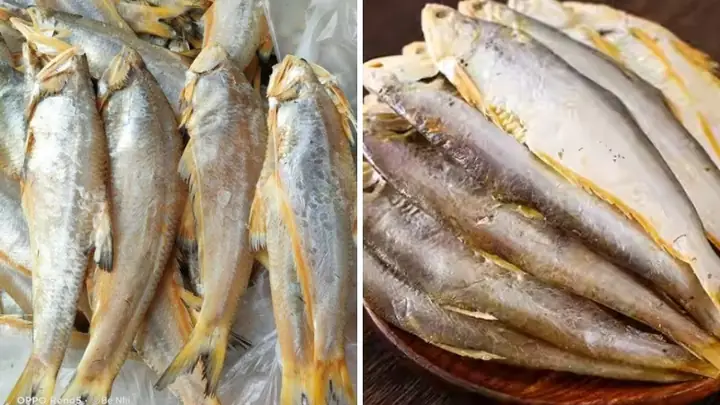 Cá Lẹp: Đặc Sản Miền Quê, Cách Chế Biến Thơm Ngon Và Phân Loại Chi Tiết