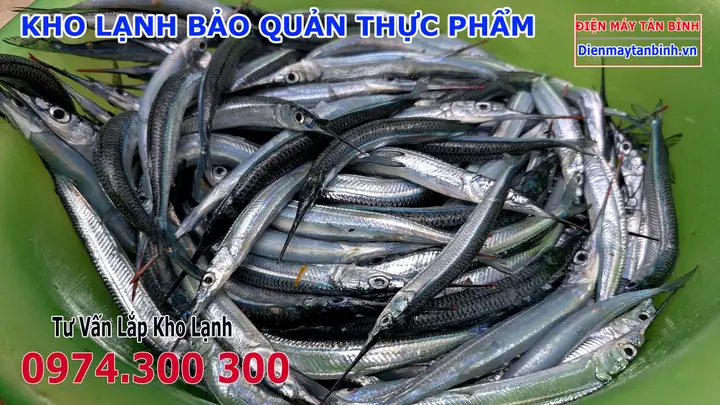Cá Lìm Kìm Biển: Khám Phá Đặc Điểm, Món Ngon & Cách Chế Biến Hấp Dẫn Cá Lìm Kìm Biển: Khám Phá Đặc Điểm, Món Ngon & Cách Chế Biến Hấp Dẫn