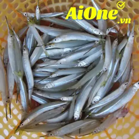 Cá Lìm Kìm Sông: Khám Phá Đặc Điểm, Môi Trường Sống Và Các Món Ngon