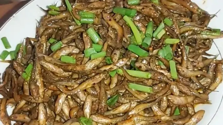 Cá Lòng Ròng Ăn Gì? Hướng Dẫn Chi Tiết Từ Chuyên Gia