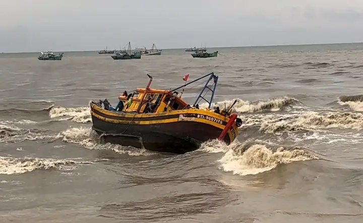 Cá Mắc Cạn Là Gì? Nguyên Nhân, Hệ Lụy Và Cách Xử Lý Hiệu Quả