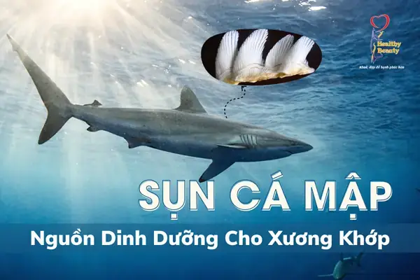 Cá Mập Béo Phì: Hiện Tượng, Nguyên Nhân, Hậu Quả Và Sự Thật Khác Cá Mập Béo Phì: Hiện Tượng, Nguyên Nhân, Hậu Quả Và Sự Thật Khác