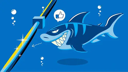 Cá Mập Cắn Cáp Quang: Sự Thật Đằng Sau "tội Đồ" Mạng Lag Cá Mập Cắn Cáp Quang: Sự Thật Đằng Sau "tội Đồ" Mạng Lag