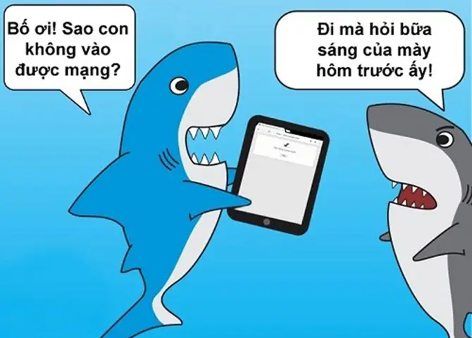 Cá Mập Cắn Cáp Quang: Sự Thật Đằng Sau "tội Đồ" Mạng Lag Cá Mập Cắn Cáp Quang: Sự Thật Đằng Sau "tội Đồ" Mạng Lag