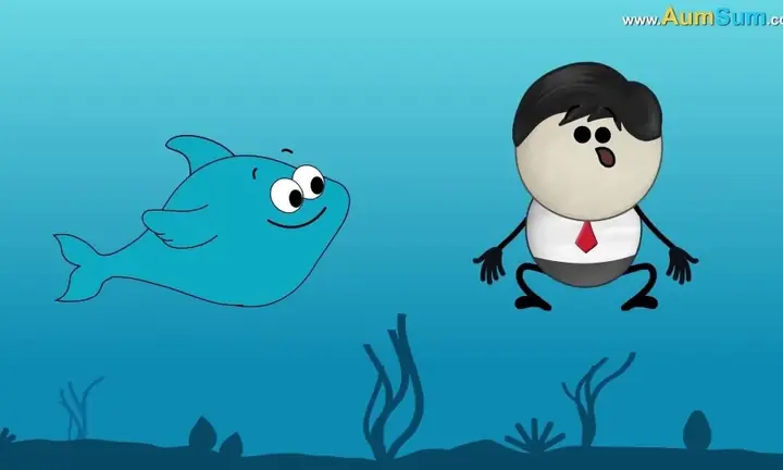 Cá Mập Có Xương Không? Giải Đáp Từ A-z Về Bộ Khung Của Cá Mập