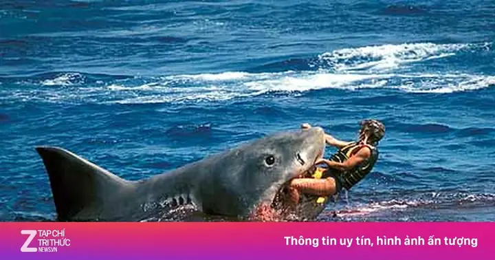 Cá Mập Hung Dữ Nhất Thế Giới: Khám Phá Những Loài Đáng Sợ Nhất Đại Dương Cá Mập Hung Dữ Nhất Thế Giới: Khám Phá Những Loài Đáng Sợ Nhất Đại Dương