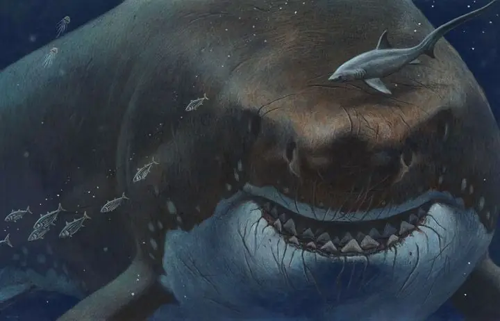 Megalodon: Kích Thước Khổng Lồ Và Sự Thật Về Loài Cá Mập Lớn Nhất Thế Giới