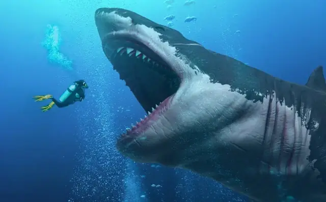 Megalodon: Kích Thước Khổng Lồ Và Sự Thật Về Loài Cá Mập Lớn Nhất Thế Giới
