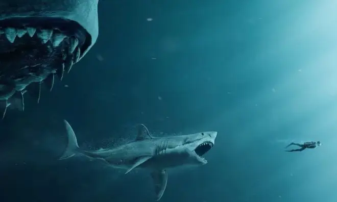 Cá Mập Megalodon Ngoài Đời Thật: Sự Thật Về Loài Khổng Lồ Từng Thống Trị Biển Cả
