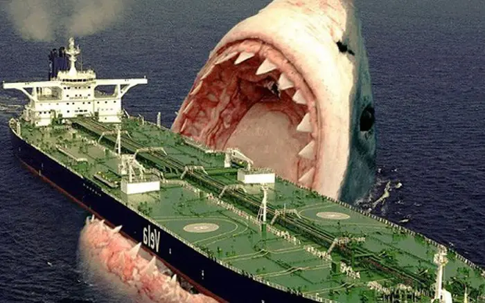 Cá Mập Megalodon Ngoài Đời Thật: Sự Thật Về Loài Khổng Lồ Từng Thống Trị Biển Cả