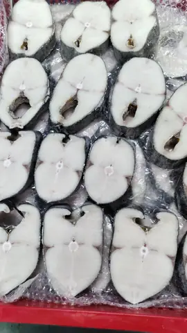 Cá Mắt Ngọc Biển: Đặc Điểm, Công Dụng & Cách Nhận Biết Chuẩn