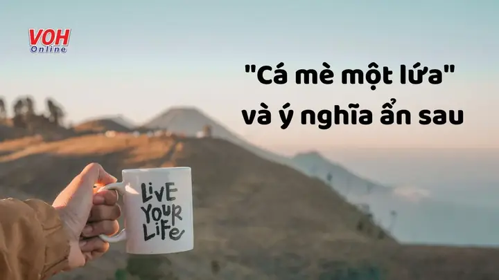 Cá Mè Một Lứa Là Gì? Ý Nghĩa, Nguồn Gốc Và Cách Dùng Thành Ngữ