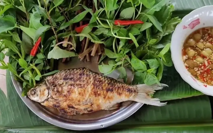 Cá Mè Vinh Ăn Lá Cây Gì? Hướng Dẫn Chi Tiết & Mẹo Câu Hiệu Quả