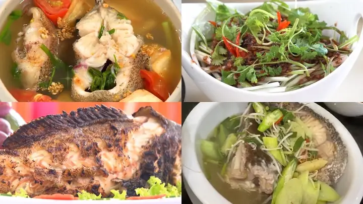 Mồi Câu Cá Mú Ngon Nhất: Lựa Chọn Nào Phù Hợp Cho Bạn?