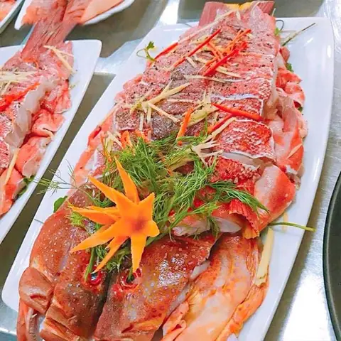 Cá Mú Đỏ Én: Đặc Điểm, Các Loại Phổ Biến & Cách Chế Biến Ngon