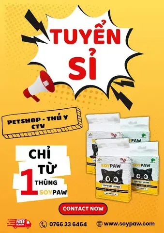 Cá Neon Có Cần Oxy Không? Yếu Tố Ảnh Hưởng Và Cách Nuôi Chuẩn