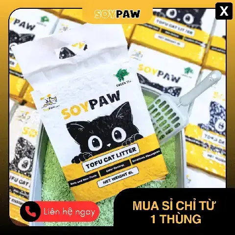 Cá Neon Có Cần Oxy Không? Yếu Tố Ảnh Hưởng Và Cách Nuôi Chuẩn