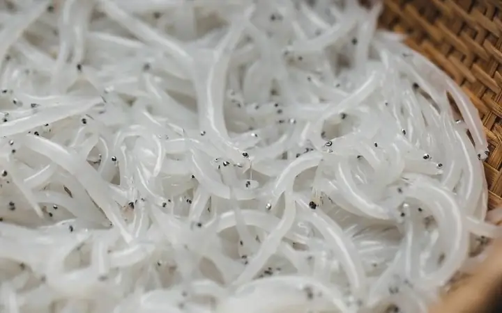 Cá Ngần Sông Đà: Nguồn Gốc, Đặc Điểm Và Mùa Vụ Phổ Biến