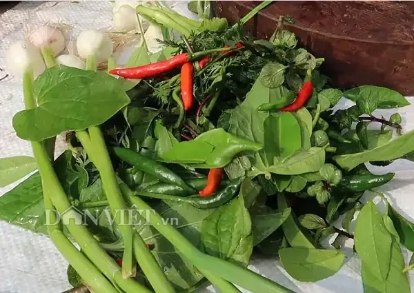 Cá Nhảy Miền Tây: Khám Phá Món Ăn Độc Đáo Và Cách Chế Biến Chuẩn Vị