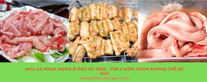 Cá Ninja Bán Ở Đâu? Giá Bao Nhiêu & Cách Mua Uy Tín
