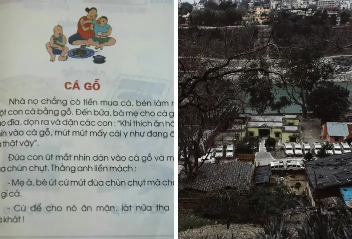 Cá Rô Cây Là Cá Gì? Nguồn Gốc Và Ý Nghĩa Câu Chuyện "bắc Kỳ Ăn Cá Rô Cây"