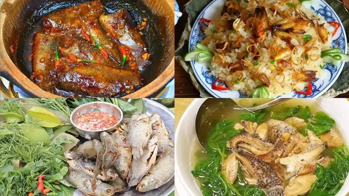 Cá Rô Đồng Ăn Gì? Thức Ăn Tự Nhiên & Chế Độ Dinh Dưỡng Tối Ưu Cá Rô Đồng Ăn Gì? Thức Ăn Tự Nhiên & Chế Độ Dinh Dưỡng Tối Ưu