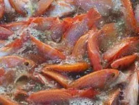 Cá Rô Phi Bụng Đỏ: Đặc Điểm, Phân Loại Và Giá Trị Kinh Tế