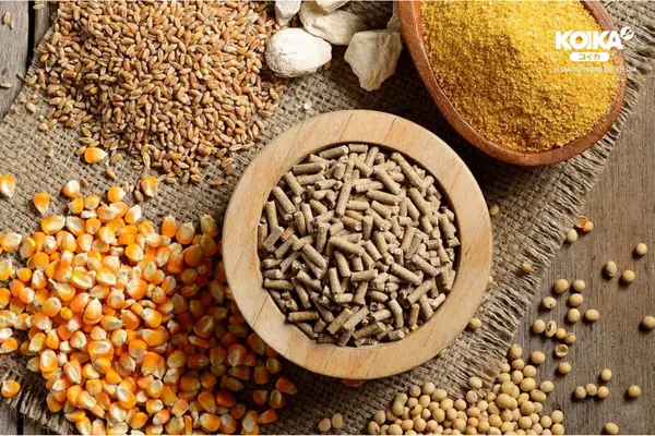 Cá Rồng Ăn Gì Lên Màu Đẹp? Bí Quyết Thức Ăn Tăng Sắc Tố Hiệu Quả