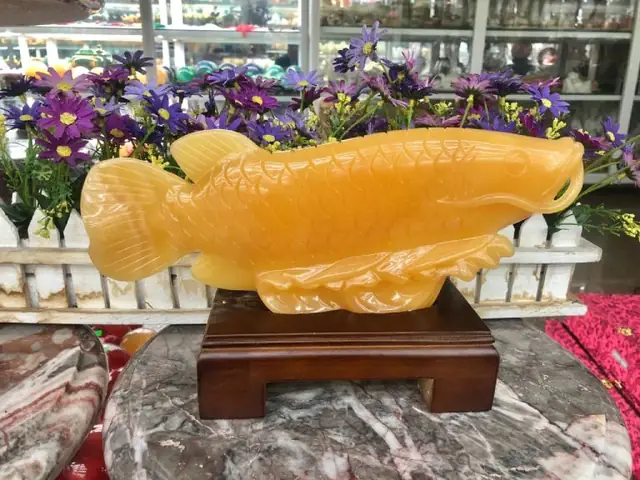 Cá Rồng Phong Thủy Vạn Lộc Phát: Ý Nghĩa, Cách Bài Trí & Chiêu Tài Cá Rồng Phong Thủy Vạn Lộc Phát: Ý Nghĩa, Cách Bài Trí & Chiêu Tài