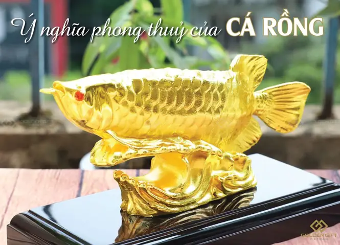 Cá Rồng Phong Thủy Vạn Lộc Phát: Ý Nghĩa, Cách Bài Trí & Chiêu Tài Cá Rồng Phong Thủy Vạn Lộc Phát: Ý Nghĩa, Cách Bài Trí & Chiêu Tài
