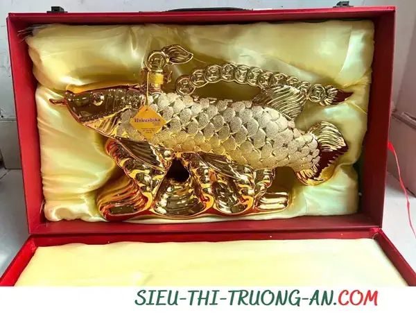 Giá Cá Rồng Vàng: Bao Nhiêu Tiền Một Con & Các Yếu Tố Ảnh Hưởng