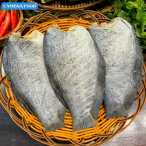 Giá Cá Sặc Rằn Bao Nhiêu? Cập Nhật Bảng Giá Mới Nhất & Lưu Ý Mua Bán