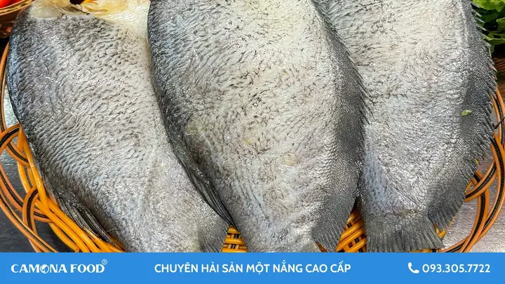 Cá Sặc Sống Ở Đâu? Khám Phá Môi Trường Sống Của Loài Cá Nước Ngọt