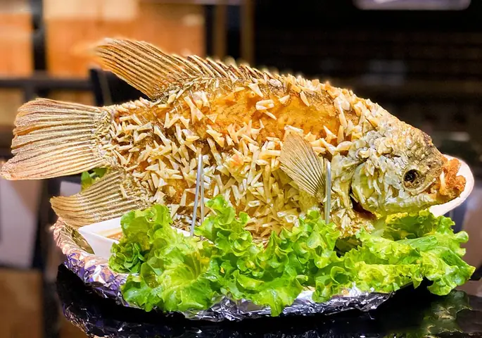 Cá Tai Tượng Ăn Gì? Chế Độ Dinh Dưỡng Chi Tiết Cho Cá Khỏe Mạnh
