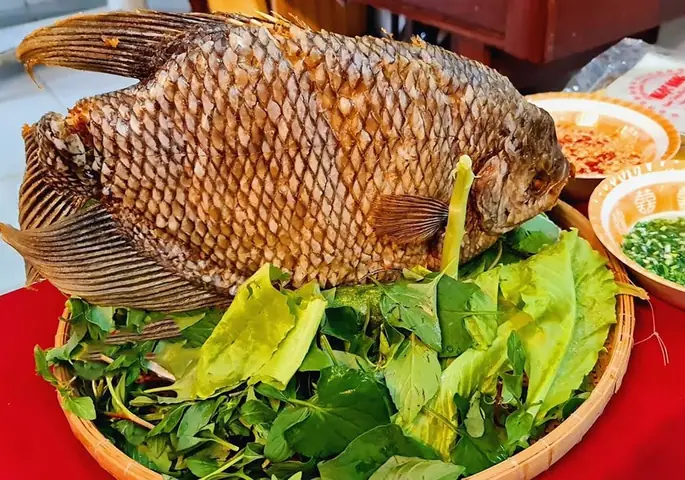 Cá Tai Tượng Ăn Gì? Chế Độ Dinh Dưỡng Chi Tiết Cho Cá Khỏe Mạnh