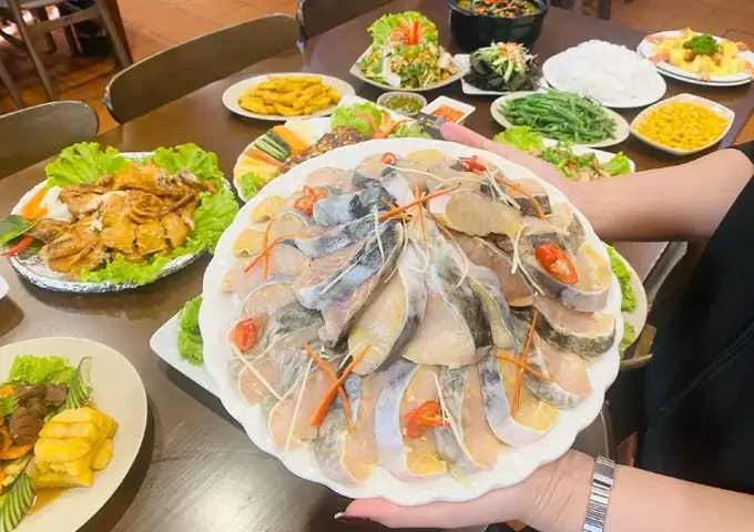 Ăn Gì, Mua Cá Tầm Đà Lạt Ở Đâu Ngon & Giá Tốt Nhất Ăn Gì, Mua Cá Tầm Đà Lạt Ở Đâu Ngon & Giá Tốt Nhất