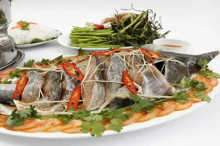Cá Tầm Giá Bao Nhiêu? Cập Nhật Giá Mới Nhất & Phân Loại