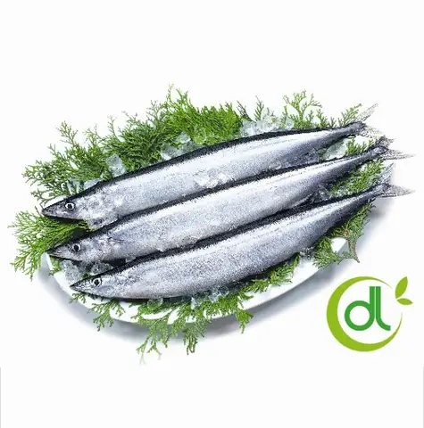 Cá Thu Đao Nhật Bản (sanma): Tất Tần Tật Về Loại Cá Đặc Sản Mùa Thu