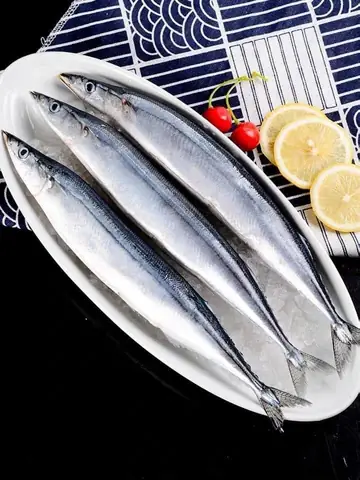 Cá Thu Đao Nhật Bản (sanma): Tất Tần Tật Về Loại Cá Đặc Sản Mùa Thu