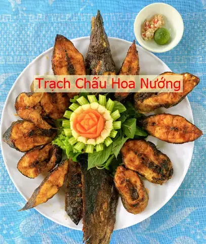 Cá Trạch Hay Cá Chạch: Tên Gọi Chính Xác Và Sự Thật Đằng Sau
