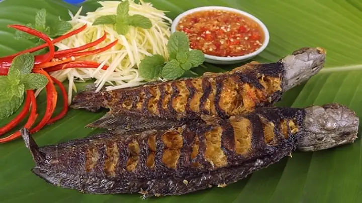 Cá Trê Ăn Gì? Tổng Hợp Thức Ăn Tự Nhiên & Nuôi Giúp Cá Lớn Nhanh Cá Trê Ăn Gì? Tổng Hợp Thức Ăn Tự Nhiên & Nuôi Giúp Cá Lớn Nhanh