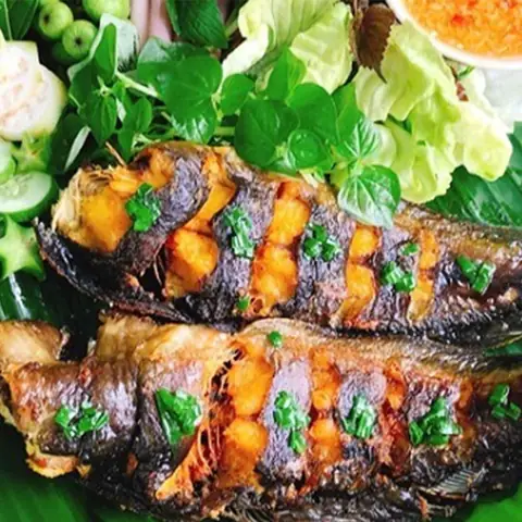 Cá Trê Ăn Gì? Tổng Hợp Thức Ăn Tự Nhiên & Nuôi Giúp Cá Lớn Nhanh Cá Trê Ăn Gì? Tổng Hợp Thức Ăn Tự Nhiên & Nuôi Giúp Cá Lớn Nhanh
