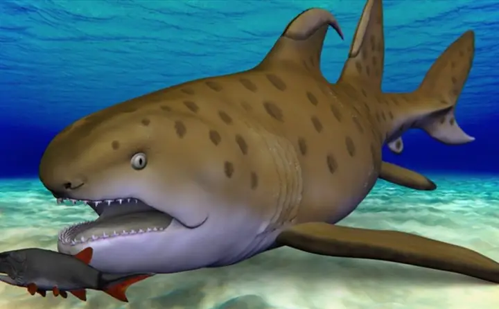 Khám Phá Các Loài Cá Mập Cổ Đại: Từ Megalodon Đến Tiền Sử